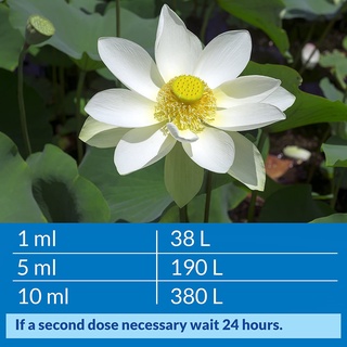 API - Accu Clear (Pond) - Làm trong nước ngọt cấp tốc