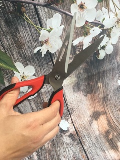Kéo cắt thực phẩm Lock&Lock- siêu sale