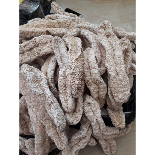 1 cặp hải sâm trắng 200gram - hải sâm cát