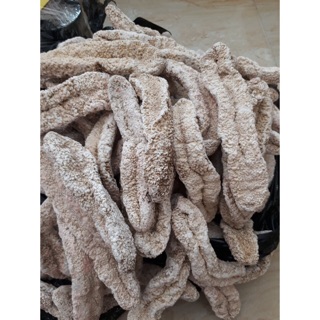 1 cặp hải sâm trắng 200gram - hải sâm cát