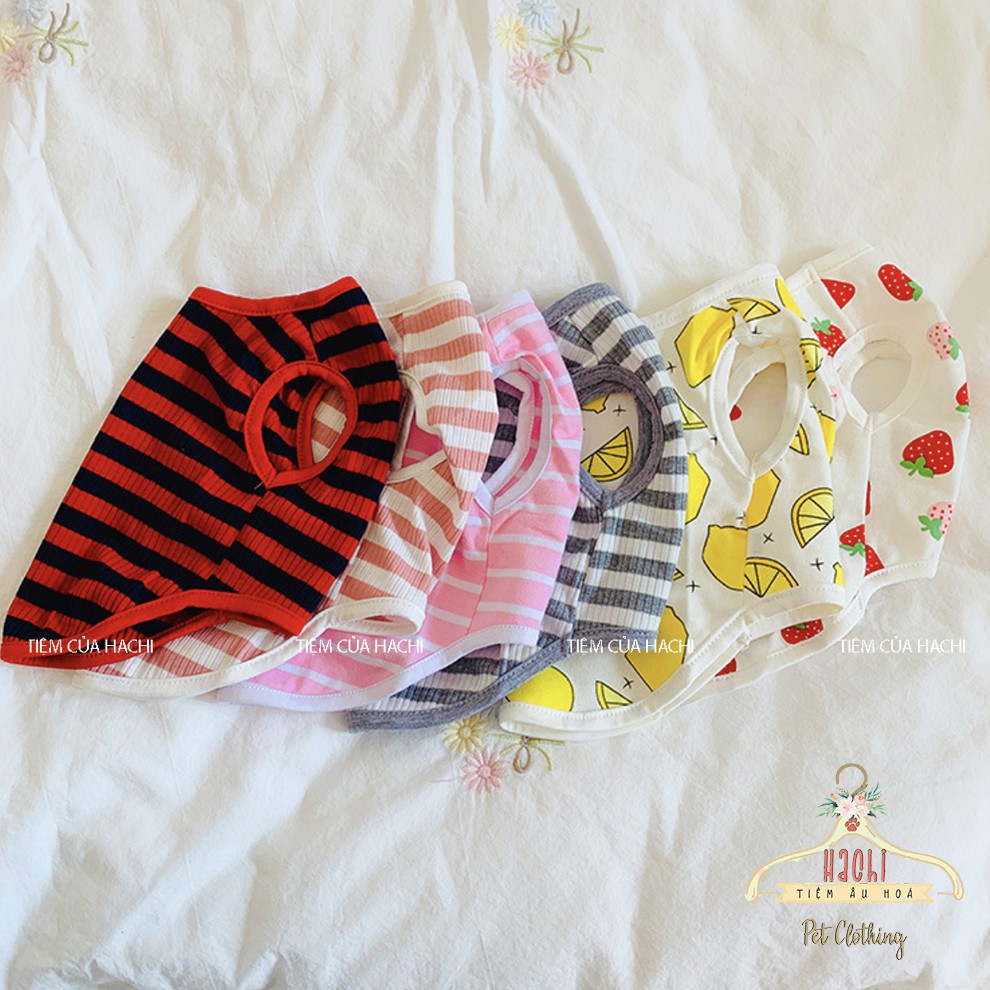 Áo 3 lỗ cho thú cưng