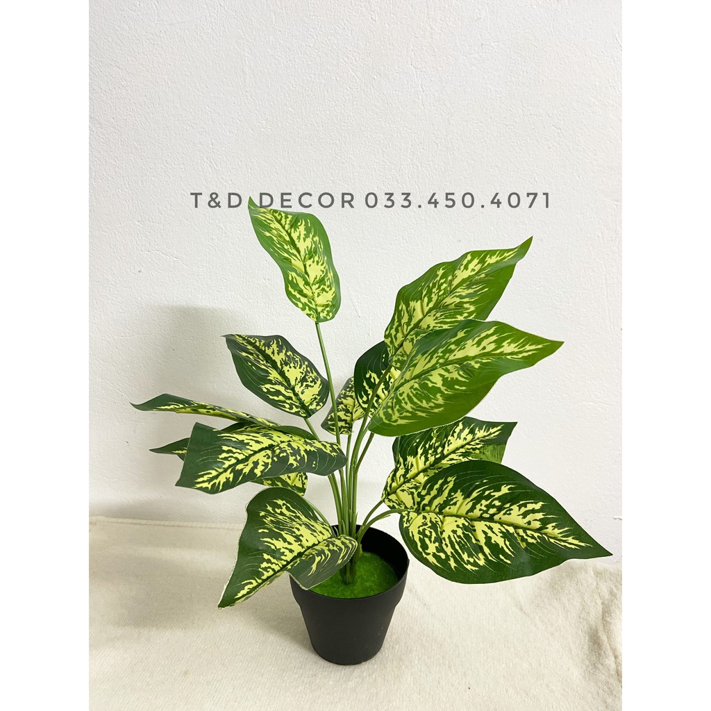 Cây giả decor- Cây lá đốm 30cm