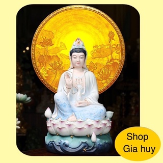 Hào Quang Trúc Chi