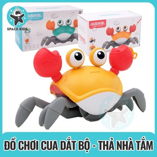 Con cua dắt đi dễ thương