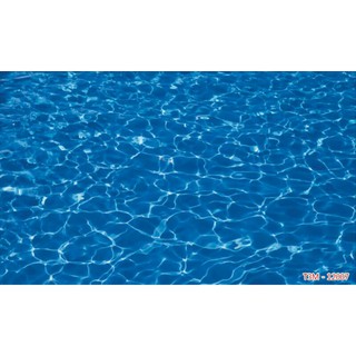 Tranh 3d dán bể cá kt cao 60cm*120cm có keo sẵn