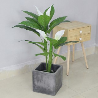 Cây giả - Cây lan ý đẹp trang trí cao 90cm - LC2931