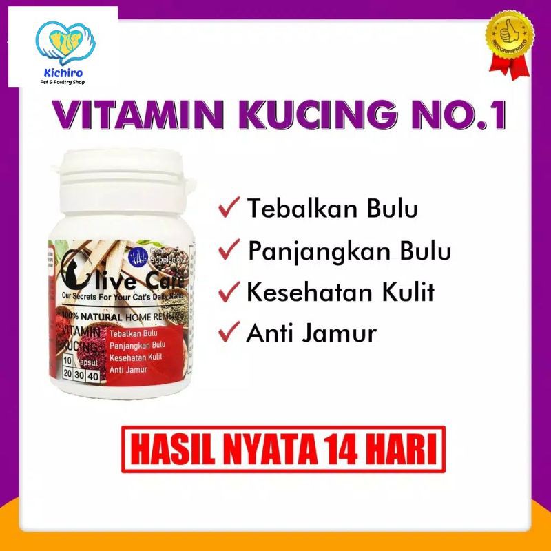 (Hàng Mới Về) Set 10 Viên Nang Chứa Vitamin Nuôi Dưỡng Tóc Dày Mượt Mà