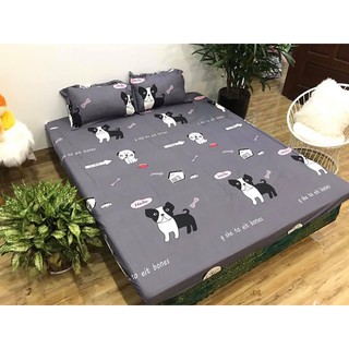 Bộ ga chun và 2 vỏ gối nằm mẫu cute, drap cotton poly