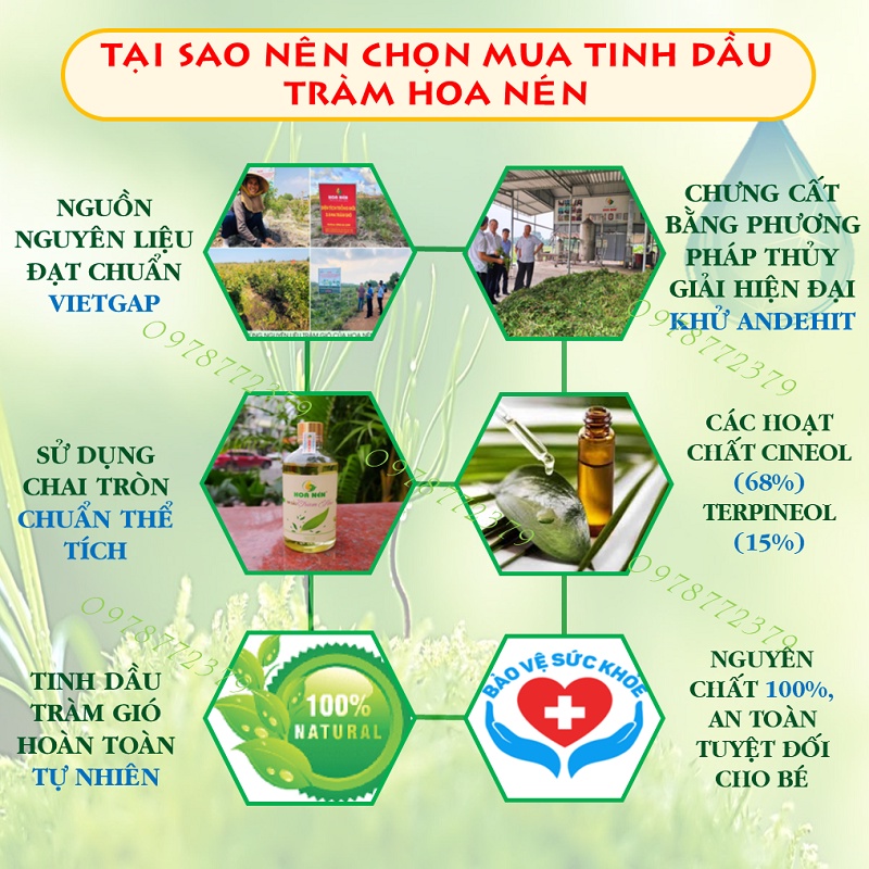 Tinh dầu Tràm Hoa Nén 50ml [NGUYÊN CHẤT] Tinh dầu tràm gió thiên nhiên