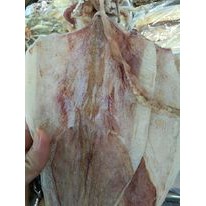 (SIÊU NGON) 500G KHÔ MƯC LỚN SZE 10-16 CON KHÔ BÊN TRE | BigBuy360 - bigbuy360.vn