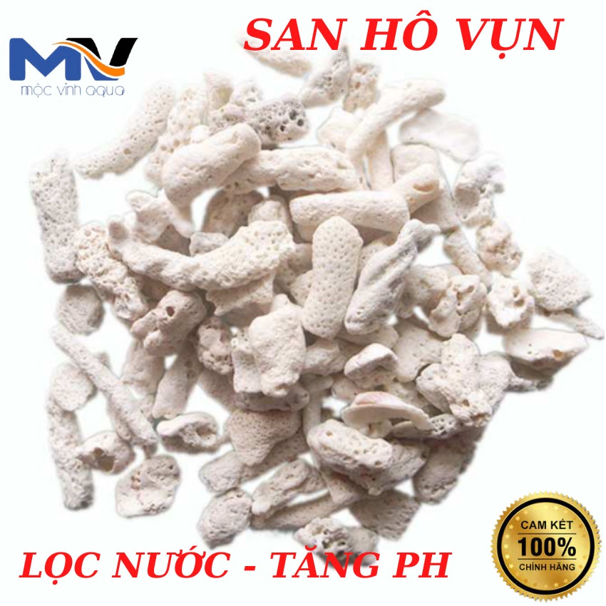 San hô vụn lọc nước 1kg tăng độ PH cho bể cá