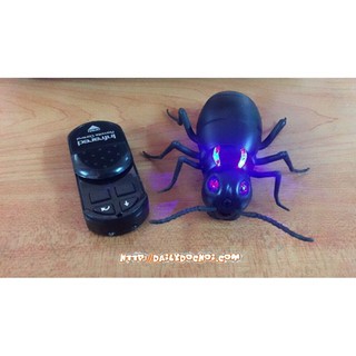 Kiến điều khiển từ xa ngộ nghĩnh FLASH SALE 99K