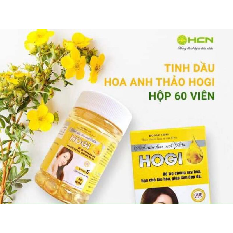 Tinh dầu Hoa Anh Thảo Hogi 60 viên