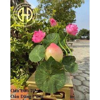 Oản Đào Tiên Ngát Sen 1 Quả - Oản Tài Lộc - Oản Đức Hiếu