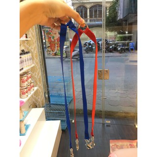 Dây dắt đôi chó mèo