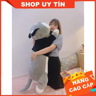Chó Husky Bông, Chó Bông Huskey