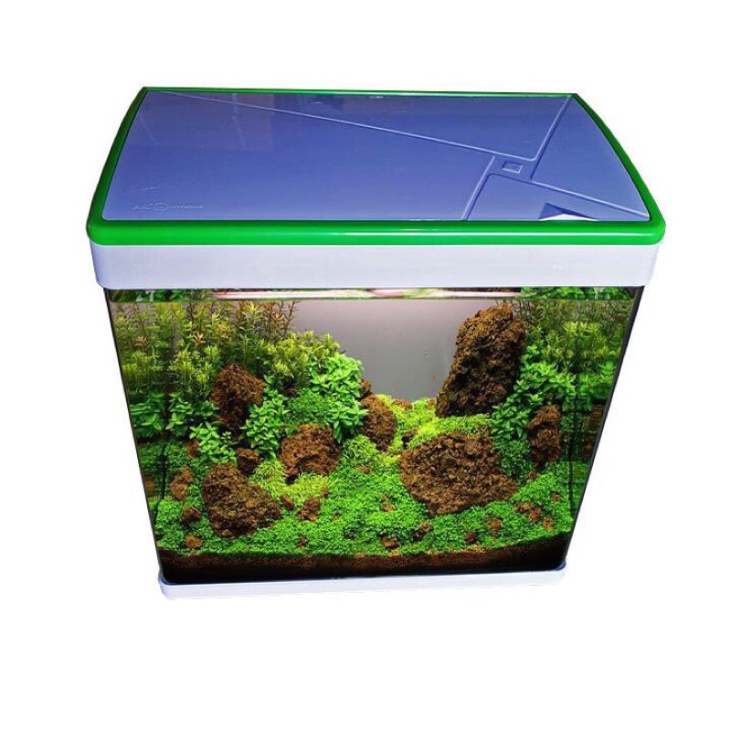 Hàng sẵn - Bể đúc bể cá cảnh mini MJ M260  26x15x27cm