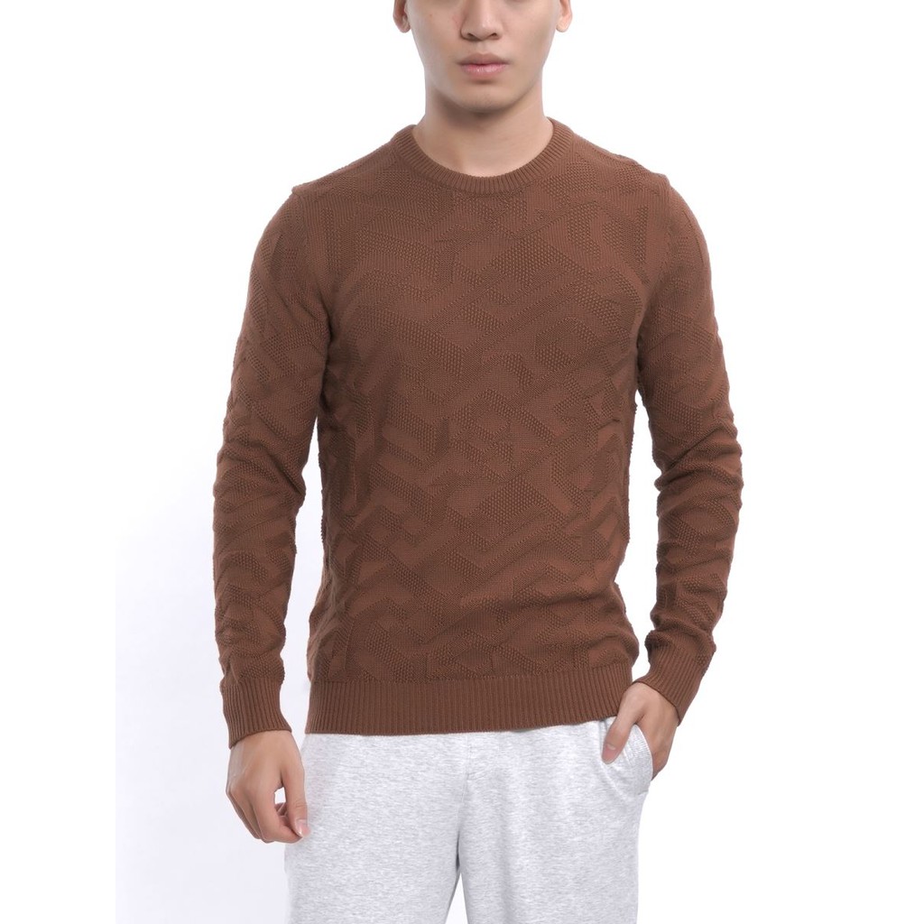 Áo len aristino màu nâu slim fit AWO007W7