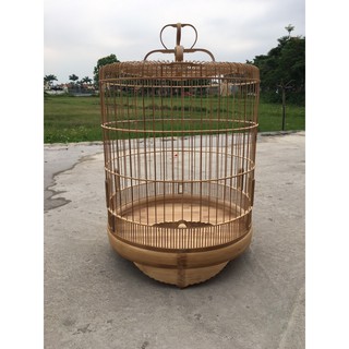 Lồng chích choè vai vuông