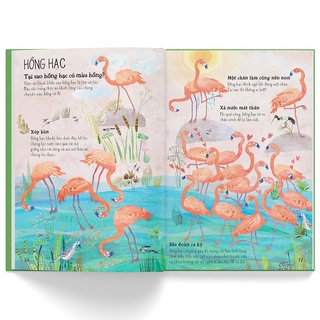Sách - A Lê Hấp! Thế Giới Thú Dữ (Bình Book)