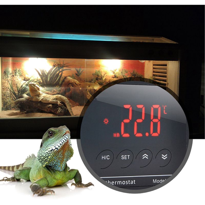Bộ điều khiển nhiệt độ có đầu chuyển đổi nguồn 10A AC-112 dành cho bể cá
