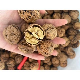 Hạt Óc Chó Nếp (nguyên quả)