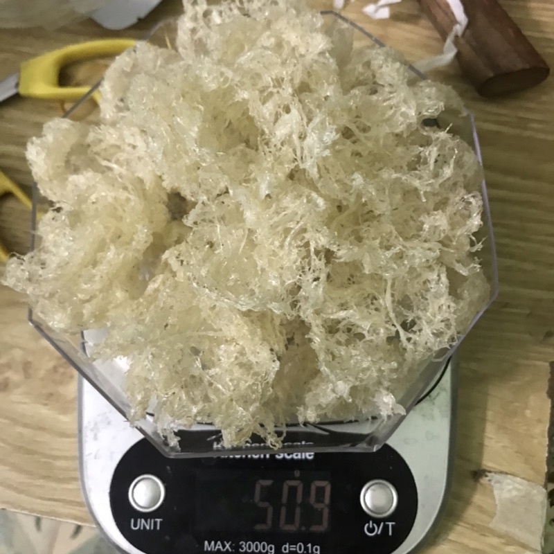 Yến sào viên sợi baby nhà làm 20g, 30g, 50g, 100g, tổ yến Nha Trang, Khánh Hoà