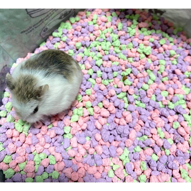 Cát Đậu Tuyết lót chuồng cho Hamster, Cát vệ sinh Mèo