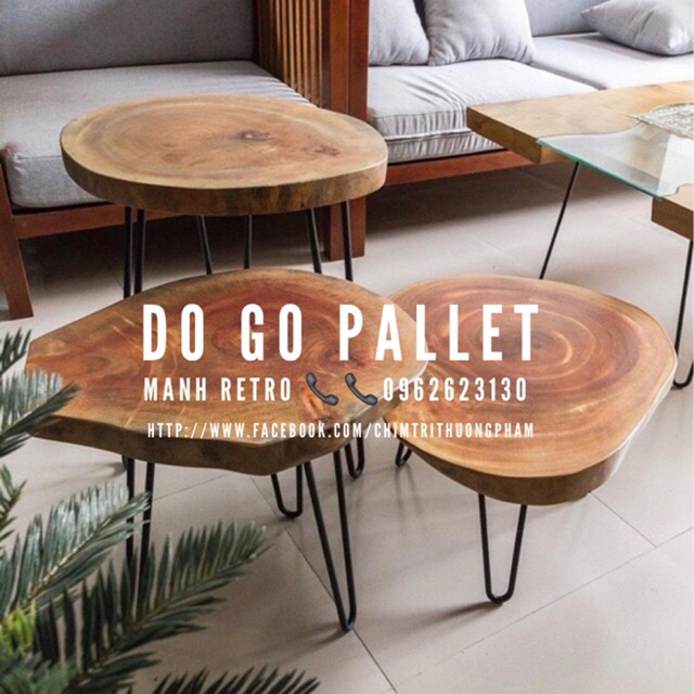 Set bàn gốc cây