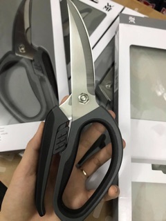 Kéo cắt gà wmf