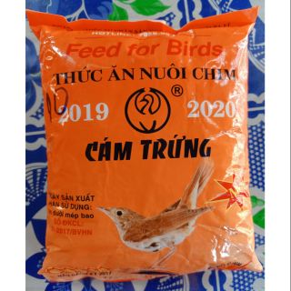 Cám trứng - thức ăn chim