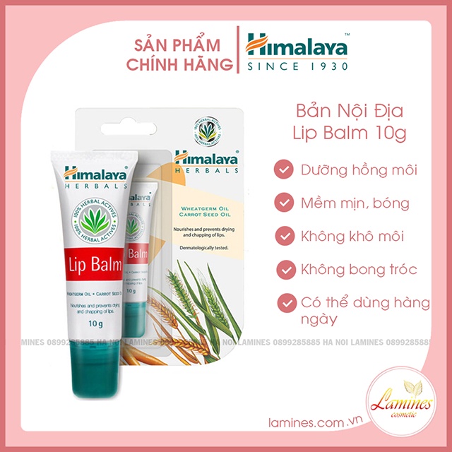 Son Dưỡng Môi Himalaya Lip Balm 10g - Bản Nội Địa