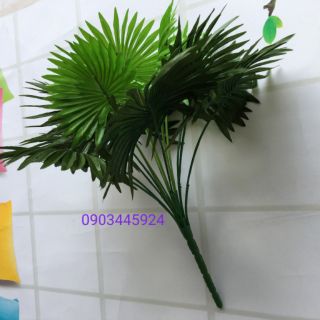 Cây Cọ Trang Trí cao 45cm- Cây Giả