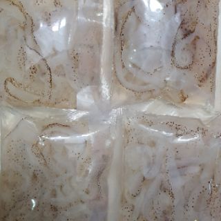 Thân Sứa Biển Ăn Liền