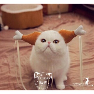 MŨ ĐÙI GÀ CHO CHÓ MÈO THÚ CƯNG
