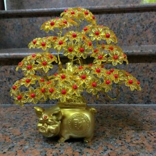 Bộ kim tiền