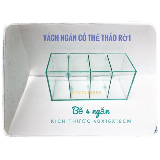 Bể cá 4 ngăn