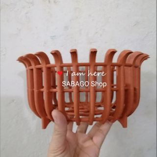 Combo 6 chậu nhựa trồng lan đấu hỏi cỡ lớn