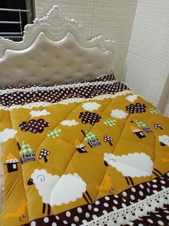 Chăn lông cừu Việt Nam