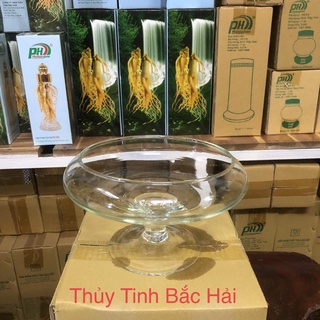 Bình thủy tinh nuôi cá để bàn,chậu cá thủy tinh mini,bình thủy tinh trồng cây thủy sinh dc02
