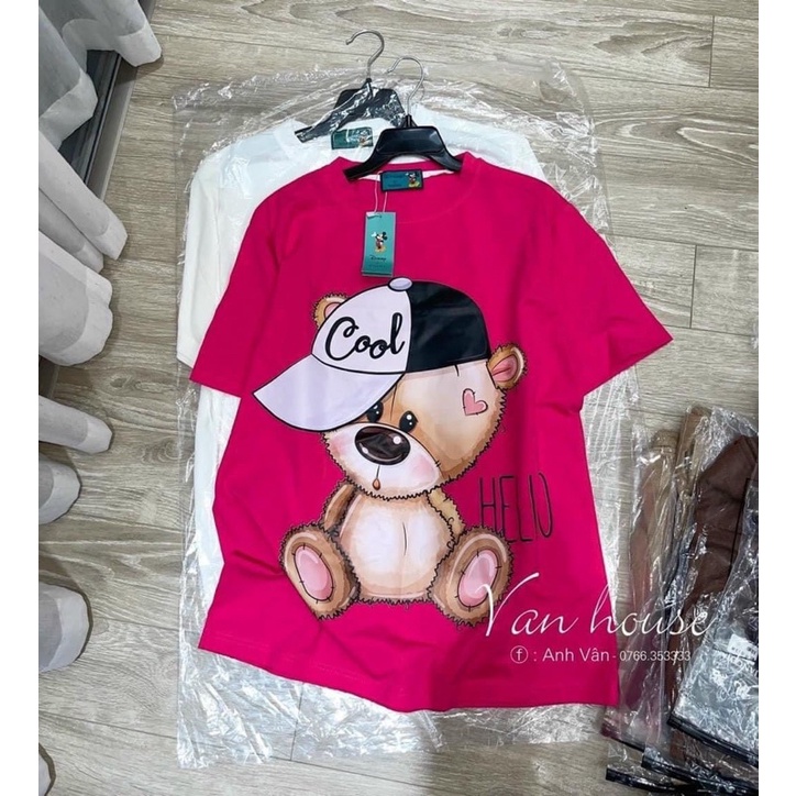 Áo phômg gấu. Áo thun form rộng dấu quần - Thảo La shop. Có bán sỉ