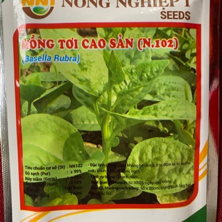 Mồng tơi cao sản