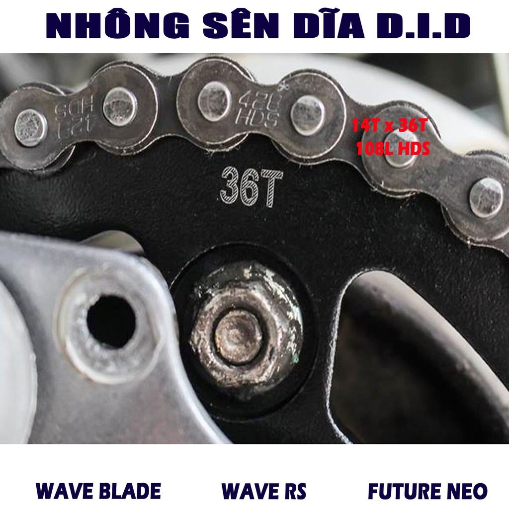 Nhông sên dĩa Wave RS Future Neo Wave Blade - Sên đen 10 ly Thái Lan