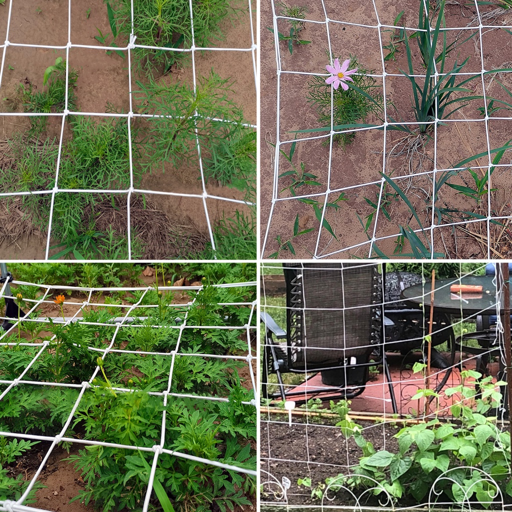 Khung Lưới Co Giãn 90x90cm Hỗ Trợ Trồng Cây Chuyên Dụng