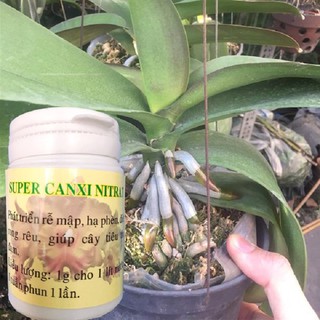 Phân bón Super Canxi nitrat lọ 100g