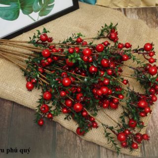 Lựu phú quý. 35k