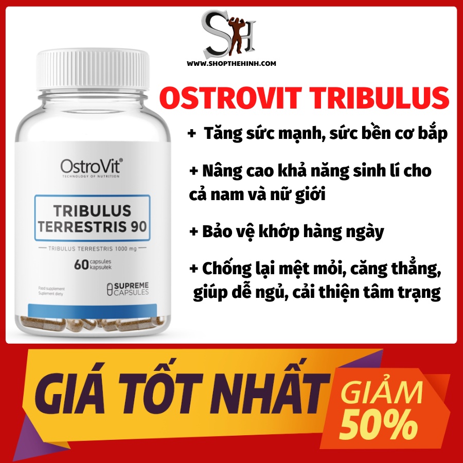 Thực Phẩm Bổ Sung Hỗ Trợ Tăng Testosterone Nam, Tăng Tổng Hợp Protein và Tăng Ham Muốn Ostrovit Tribulus Terrestris 90