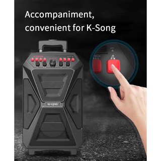 Loa Bluetooth W-King K5