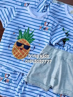 Set bộ zara quả dứa