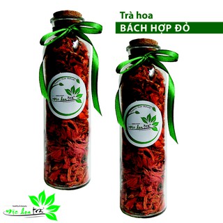 TRÀ HOA BÁCH HỢP ĐỎ - MỘC HOA TRÀ